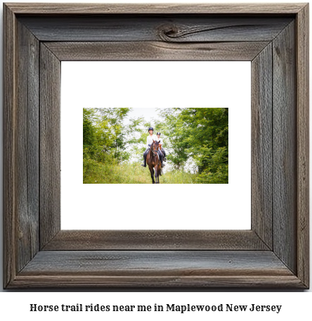 horse trail rides near me in Maplewood, New Jersey